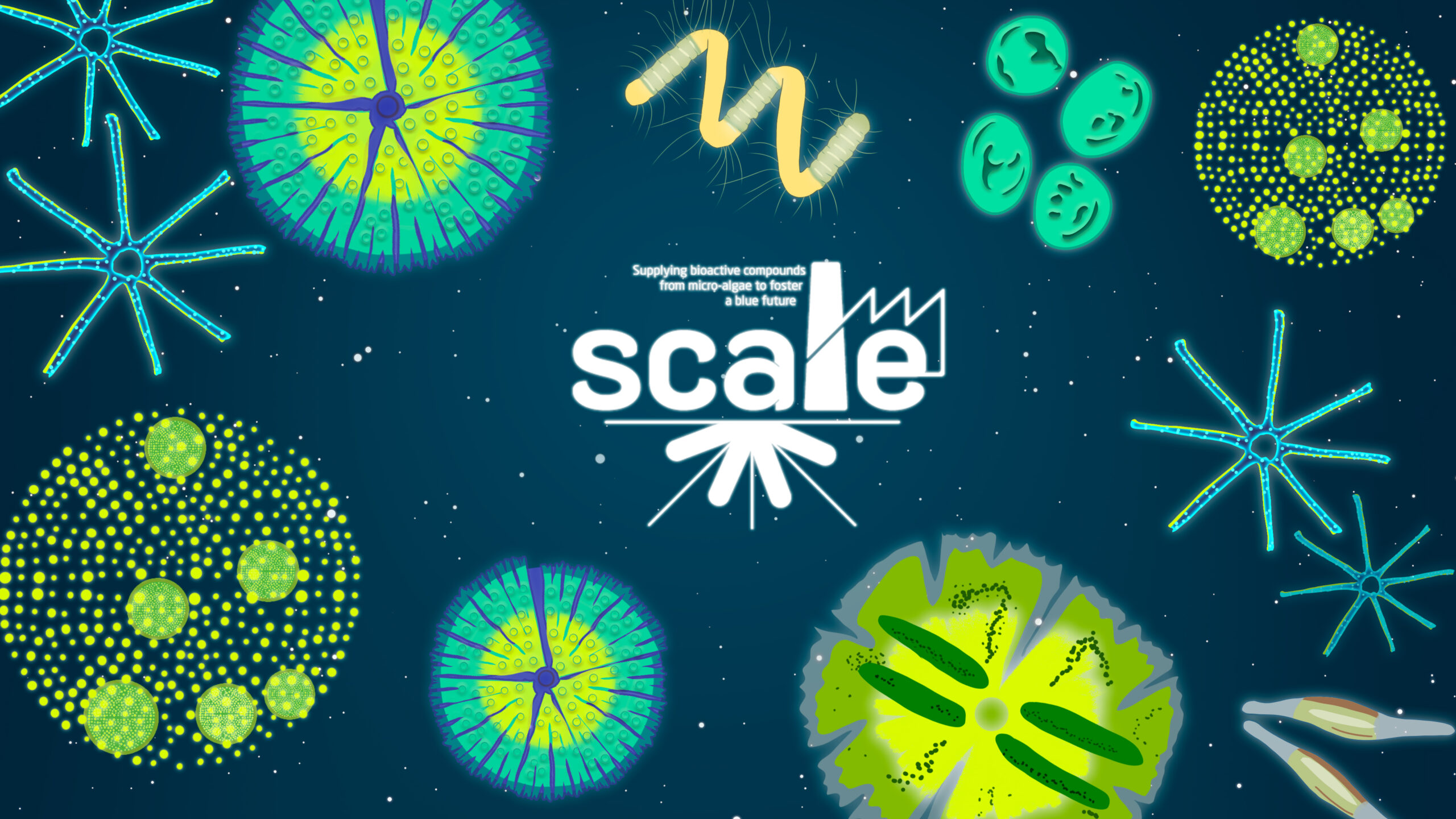 SCALE Project reveals its 1st  Video for the 1st EU Algae Summit